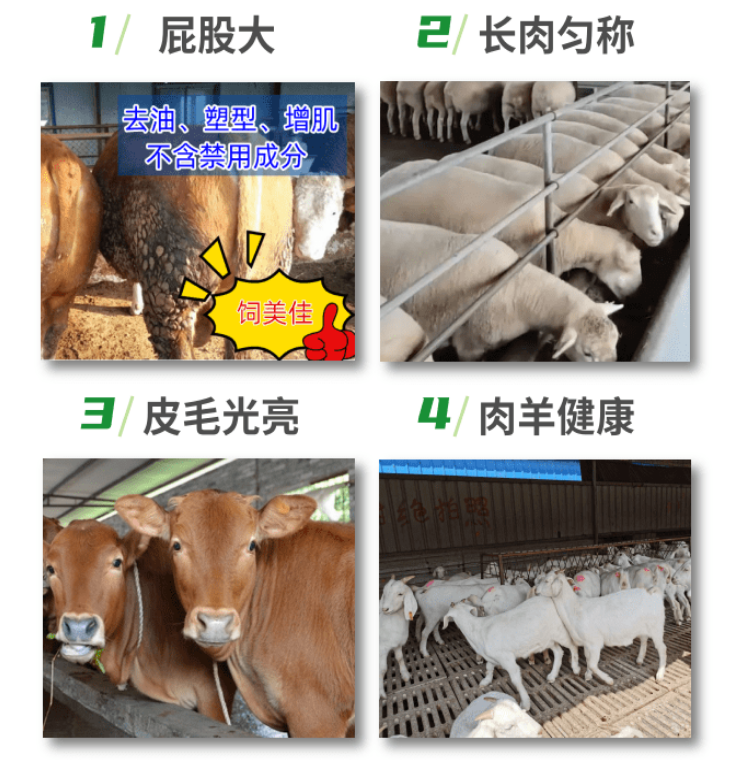魔鬼催肥剂，多少钱一包？