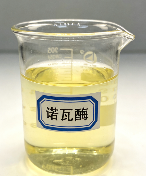 诺瓦酶研发历程：从行业痛点到低温微乳化酶的七年突破